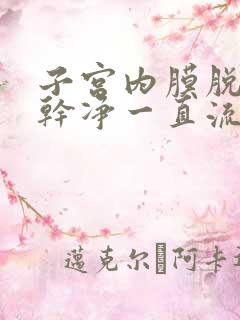 子宫内膜脱落不干净一直流血怎么办