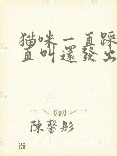 猫咪一直踩奶一直叫还发出呼呼声