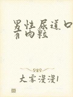 男性尿道口上长有肉粒