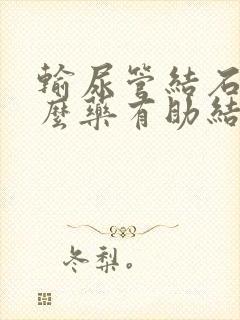 输尿管结石吃什么药有助结石排出