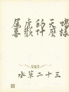 属虎的天蝎男会喜欢什么样的女人