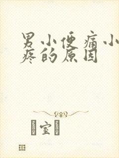 男小便痛小肚子疼的原因