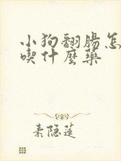 小狗翻肠怎么办吃什么药