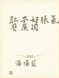 肚子好胀气是什么原因