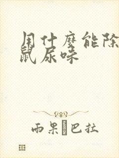 用什么能除掉老鼠尿味