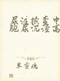 尿液检查中白细胞尿沉渣高是什么原因