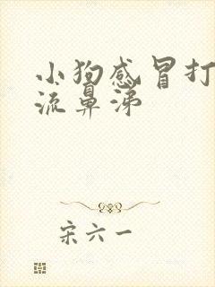 小狗感冒打喷嚏流鼻涕