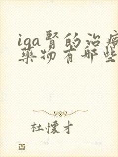 iga肾的治疗药物有哪些呢