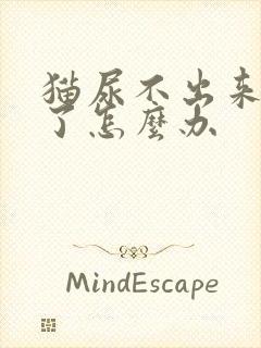 猫尿不出来还吐了怎么办