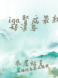 iga肾病最新好消息
