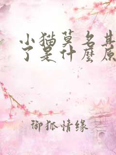 小猫莫名其妙死了是什么原因