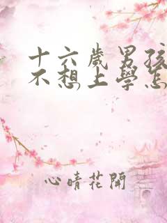 十六岁男孩叛逆不想上学怎么办