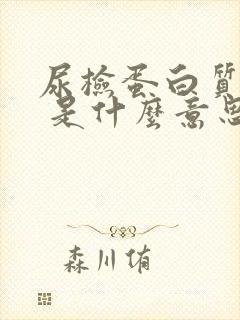 尿检蛋白质2+ 是什么意思