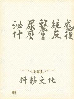 泌尿系统感染为什么会反复发作呢