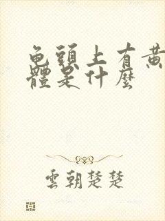 龟头上有黄色液体是什么