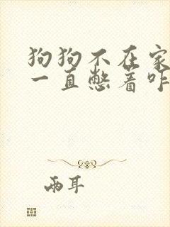 狗狗不在家拉尿一直憋着咋办