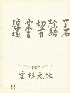 胆囊切除了胆管还会有结石吗