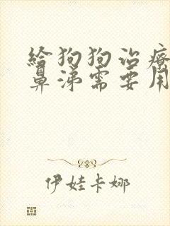 给狗狗治疗流黄鼻涕需要用什么药