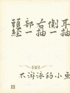 头部右侧耳后神经一抽一抽的痛