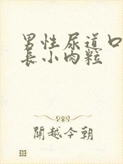 男性尿道口下面长小肉粒