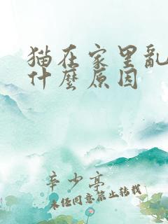 猫在家里乱尿是什么原因