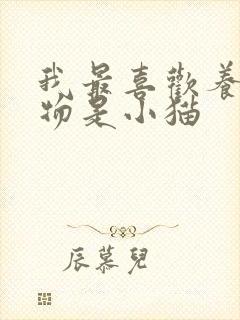 我最喜欢养的动物是小猫