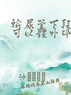 输尿管下段结石可以体外碎石能排出来吗