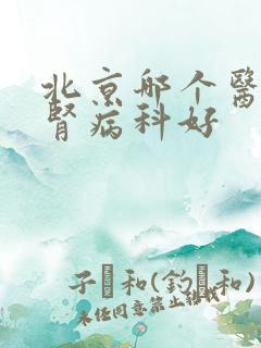 北京哪个医院看肾病科好