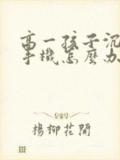 高一孩子沉迷于手机怎么办