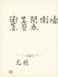 卫生间侧墙漏水怎么办