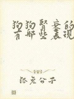 狗狗肾衰的症状有哪些表现