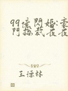 99亿闪婚:豪门总裁夜夜忙