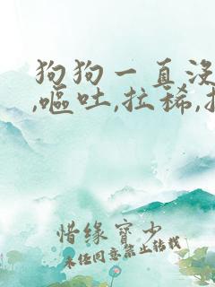 狗狗一直没精神,呕吐,拉稀,抽搐怎么办