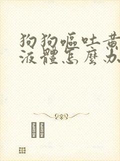 狗狗呕吐黄粘稠液体怎么办