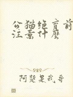 公猫绝育前需要注意什么