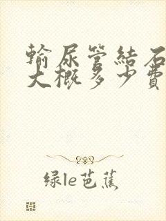 输尿管结石手术大概多少费用