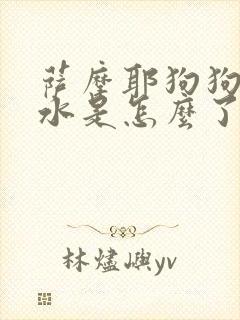 萨摩耶狗狗吐黄水是怎么了