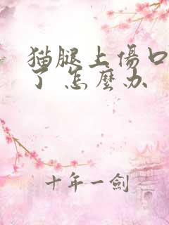 猫腿上伤口化脓了 怎么办