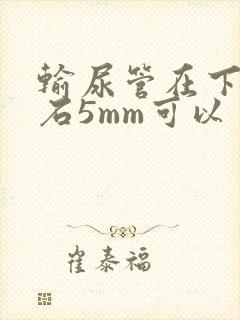 输尿管在下段结石5mm可以自行排出吗