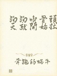 狗狗吃骨头第二天就开始拉稀