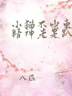 小猫不吃东西没精神老是趴着