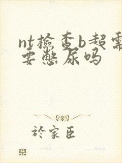 nt检查b超需要憋尿吗