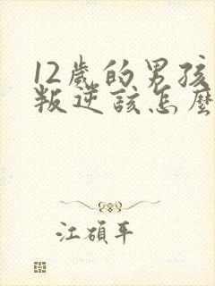 12岁的男孩子叛逆该怎么处理