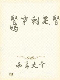 肾穿刺是肾活检吗