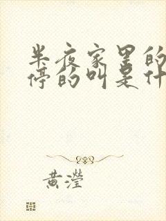 半夜家里的狗不停的叫是什么预兆