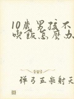 10岁男孩不爱吃饭怎么办