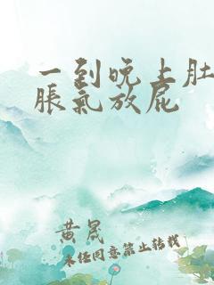 一到晚上肚子就胀气放屁