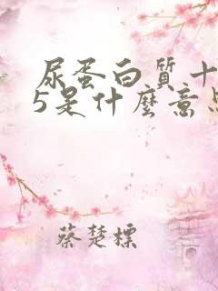 尿蛋白质十一15是什么意思