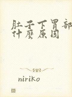 肚子下胃部疼痛什么原因