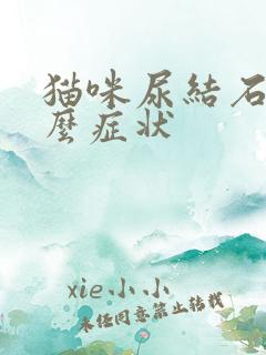 猫咪尿结石是什么症状